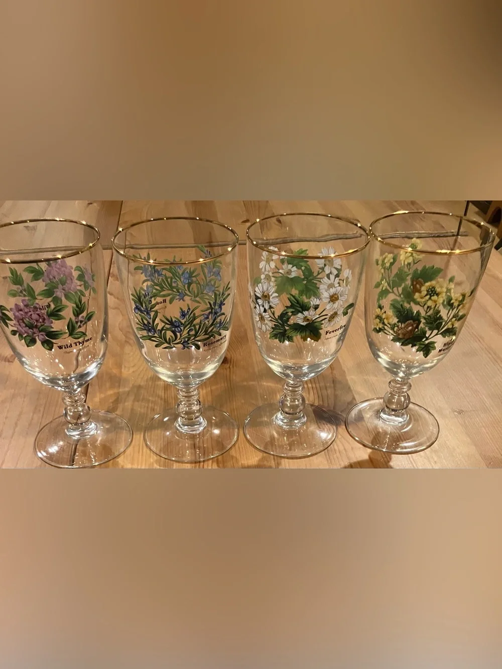 EUC Royal Worchester Herbs Stemmed Water Goblets w/Gold Rim (Set of 4) Vintage